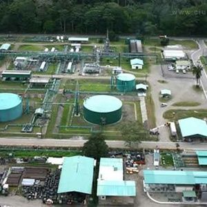 Meet your Posher, Luis